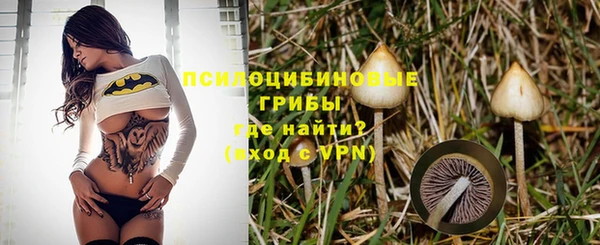 гидропоника Ростов